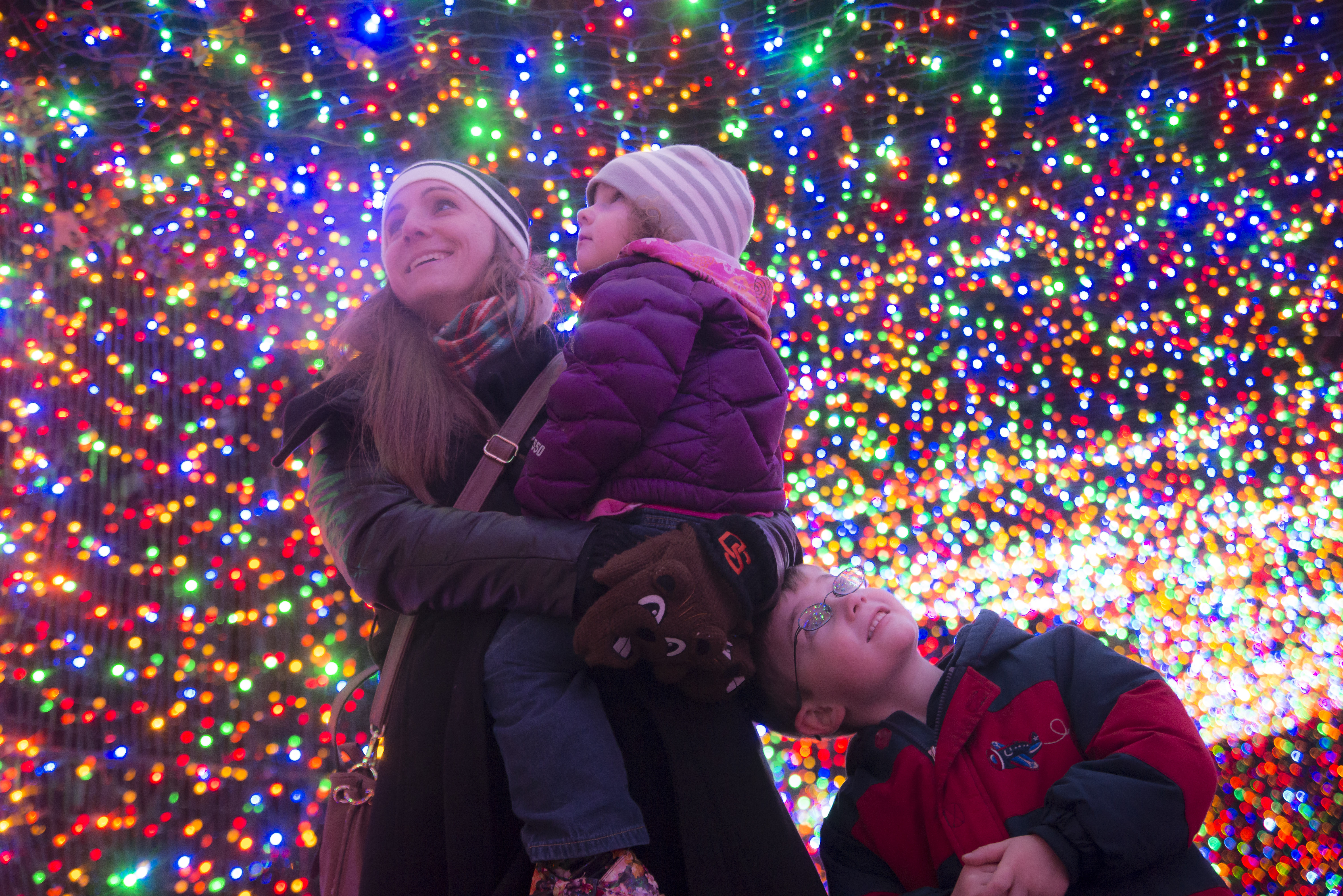 kgw.com | Guide: Holiday light shows in Portland6016 x 4016