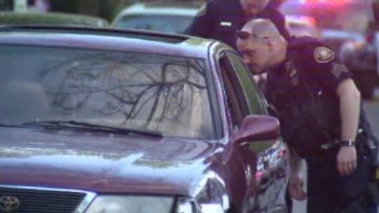Man driving stolen car flees police after chase in Southeast Portland ...
