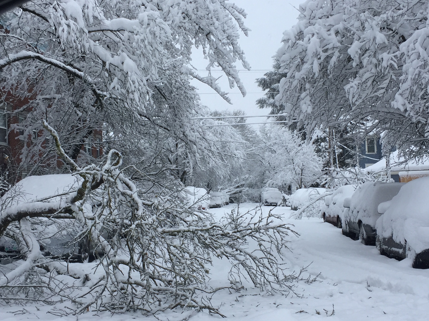 Snow event could be Portland, Oregon's biggest in 37 years