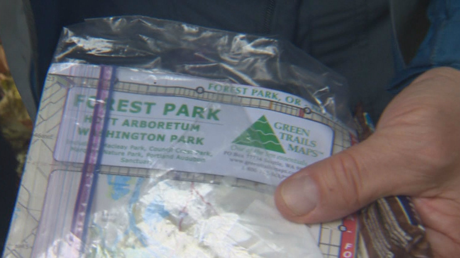 Ten things you need to survive in the wilderness