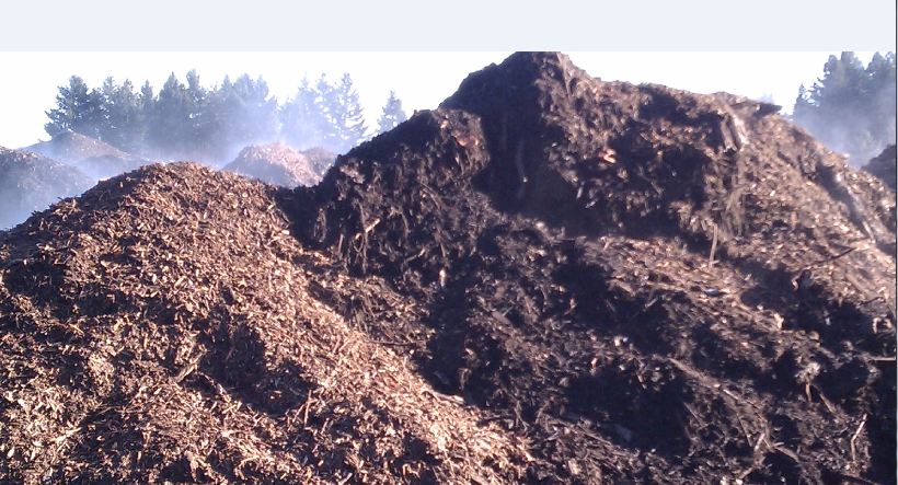 Portland food waste causing stink in N. Plains | kgw.com