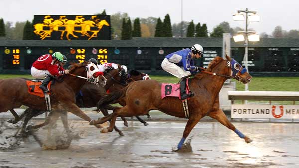 Portland Meadows Racing Horse sets new record at Portland Meadows | kgw.com